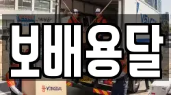 보배용달
