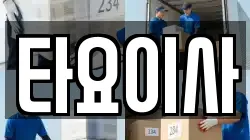 타요이사
