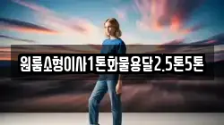 원룸소형이사1톤화물용달2.5톤5톤