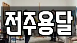 전주용달