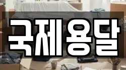 국제용달