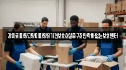 강아지파양고양이파양유기견보호소실종구조안락사없는보호센터