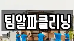 팀알파클리닝
