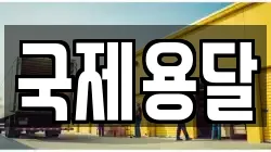 국제용달