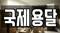 국제용달