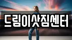 드림이삿짐센터