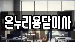 온누리용달이사
