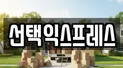 전북특별자치도 전주시 완산구 평화동1가 이사,포장이사,반포장이사,원룸이사,사무실이사,용달이사,전국이사,보관이사
