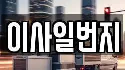 이사일번지