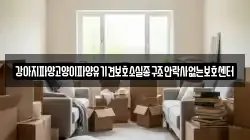 강아지파양고양이파양유기견보호소실종구조안락사없는보호센터