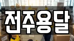 전주용달