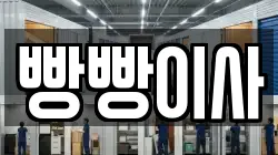 빵빵이사
