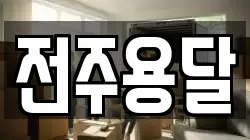 전주용달