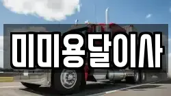 미미용달이사