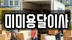 미미용달이사