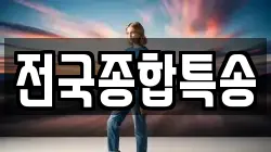 전국종합특송