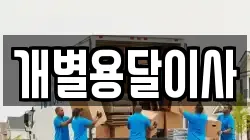 개별용달이사