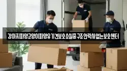 강아지파양고양이파양유기견보호소실종구조안락사없는보호센터