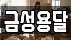 금성용달