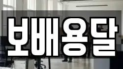 보배용달