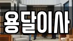 용달이사