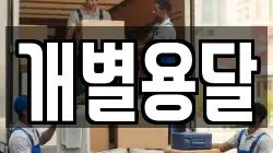 개별용달