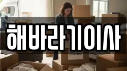 해바라기이사