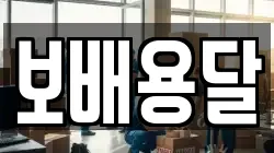 보배용달