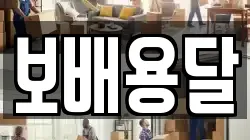 보배용달