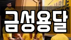 금성용달