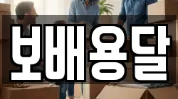 보배용달