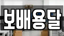 보배용달