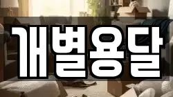 개별용달