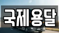 국제용달