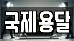 국제용달