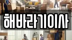 전북 전주시 완산구 동완산동 이사,포장이사,반포장이사,원룸이사,사무실이사,용달이사,전국이사,보관이사