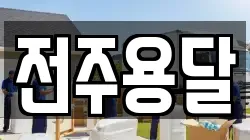 전주용달