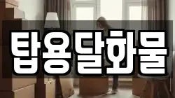 탑용달화물