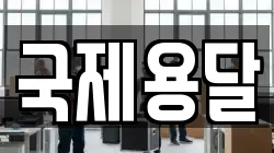 국제용달
