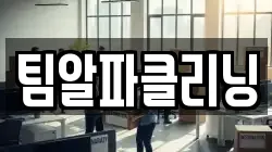 팀알파클리닝