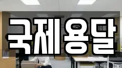 국제용달