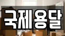 국제용달