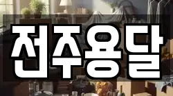 전주용달