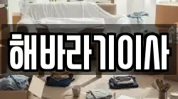 해바라기이사