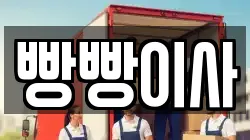 빵빵이사