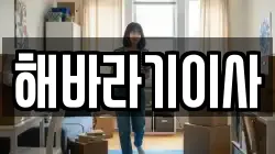 해바라기이사