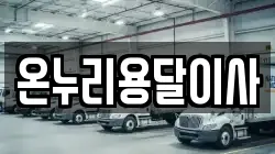 온누리용달이사