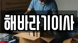 해바라기이사