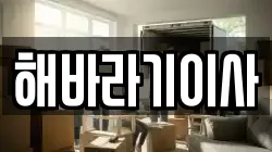 해바라기이사