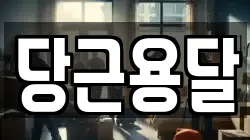 당근용달